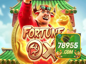 78955 COM login — painel de entrada no app oficial